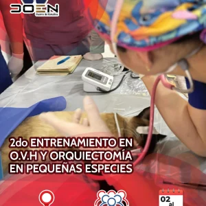 Entrenamiento en O.V.H y Orquiectomía en Pequeñas Especies