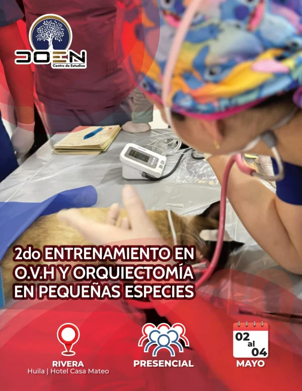 Entrenamiento en O.V.H y Orquiectomía en Pequeñas Especies