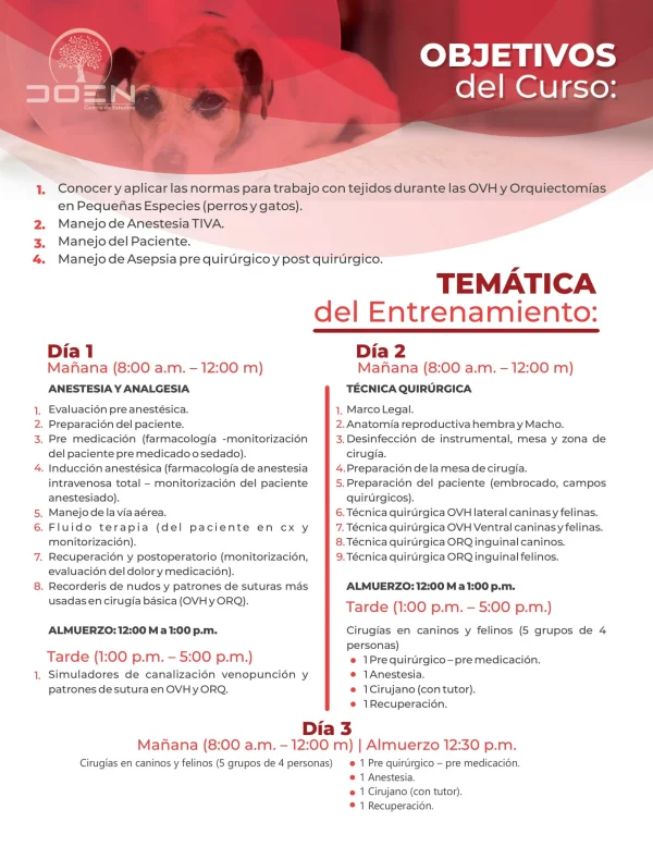 Entrenamiento en O.V.H y Orquiectomía en Pequeñas Especies - Imagen 2